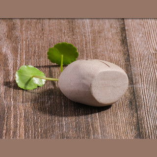Thiền Đá Trang Trí Phòng Khách Bàn Trà, Chậu Hoa Trồng Cây Thuỷ Canh Sáng Tạo, Hoa Đá Khoét Lỗ Decor Để Bàn LABY HOME