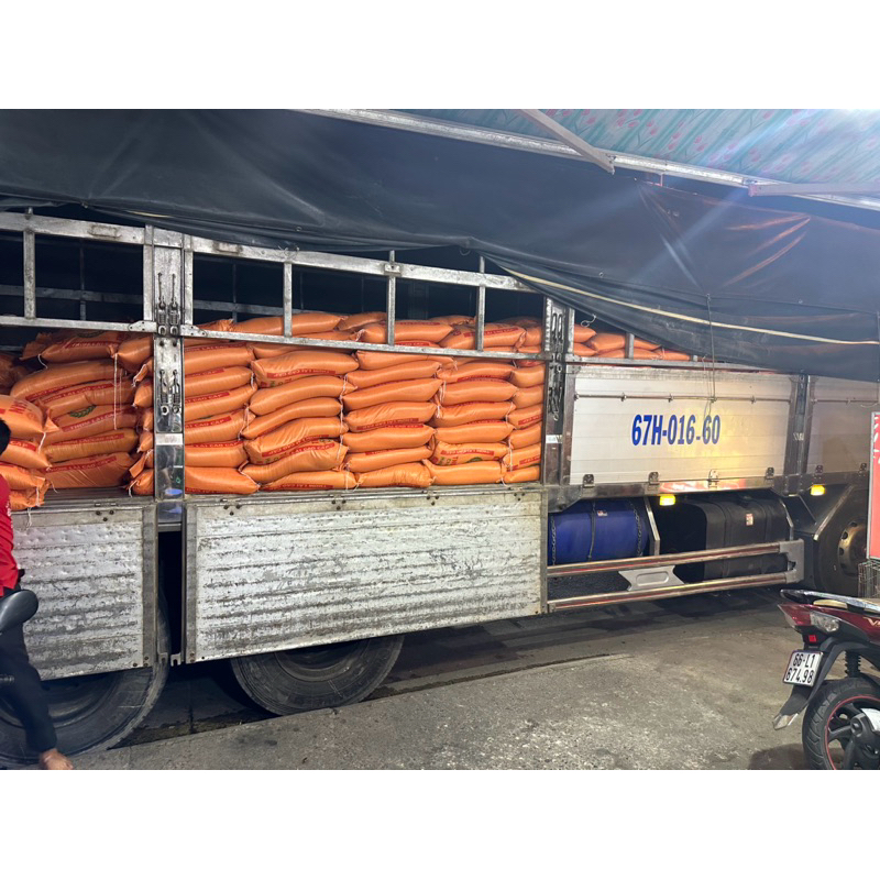 Gạo Nàng Hoa (Bao 5ky) Dẻo Vừa, Ngọt Thơm Cơm