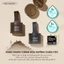 Phấn Phủ Che Khuyết Điểm Tóc Etude Pang Pang Hair Shadow 3 màu