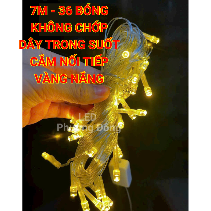 Dây đèn LED KHÔNG CHỚP 7m - 36 Bóng Trang trí Noel-Lễ-Tết