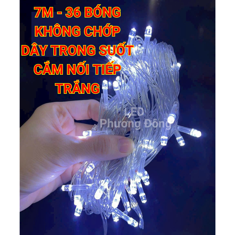 Dây đèn LED KHÔNG CHỚP 7m - 36 Bóng Trang trí Noel-Lễ-Tết