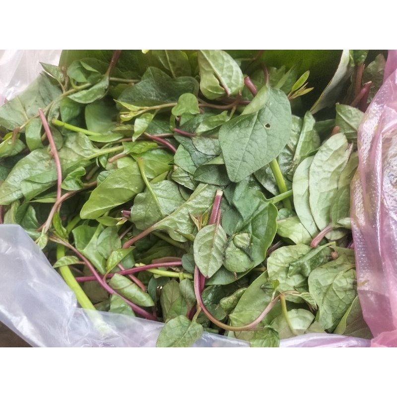 mồng tơi tím 100g | Shopee Việt Nam