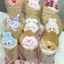 Bó Hoa Gấu Bông Mini Ốc Quế Dễ Thương Loopy, Gấu Dâu, Kuromi Giá Rẻ Làm Quà Tặng