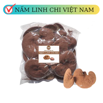 Nấm linh chi đỏ Việt Nam CNV 250g (xích chi cao cấp)