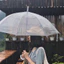Ô trong suốt đi mưa