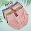 Quần Lót Nữ Cạp Cao Ôm Bụng Thun Lạnh Cao Cấp Thiên Phát Size 60-75 ký Ren Hoa Chất Vải Mát, Co Giãn Tốt