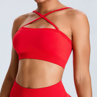 Áo thể thao tập gym,yoga nữ dệt kim mitao(90%Nylon,10%elas) có thể phối 5-6 kiểu (aomitao04)