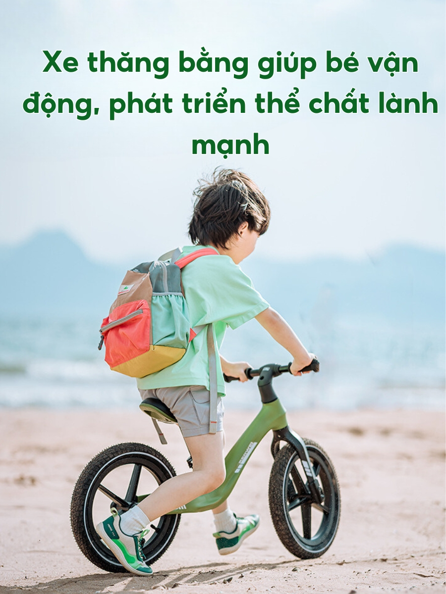 xe thăng bằng tốt nhất