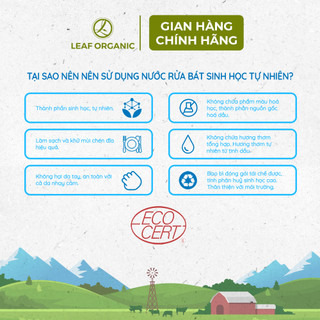 Nước rửa bát sinh học hương chanh Artisan Savonnier 1L