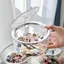 Hộp Đựng Đồ Trong Suốt Vân Kim Cương ECO Có Nắp Bấm, Hộp Đựng Kẹp Tóc Đựng Phụ Kiện Đa Năng