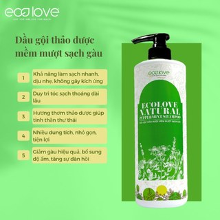 Dầu gội thảo dược mềm mượt sạch gàu Ecolove Natural Peppermint Shampoo 1000ml