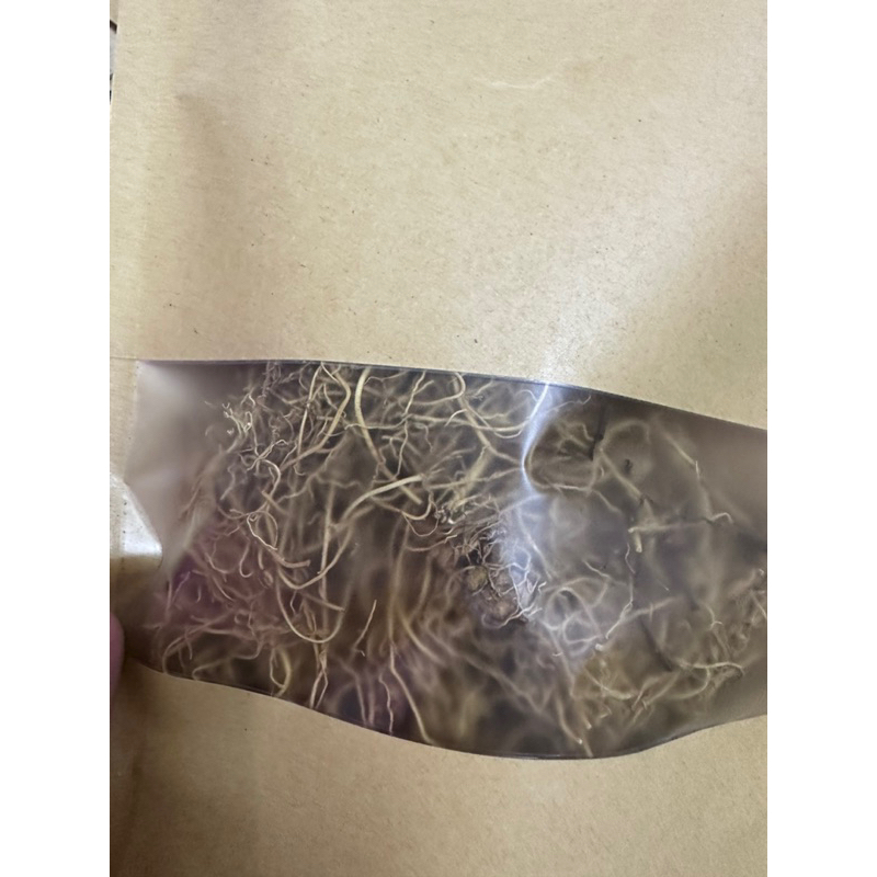 250GR Tế Tân Khô, Sạch, Đẹp Hàng Loại 1