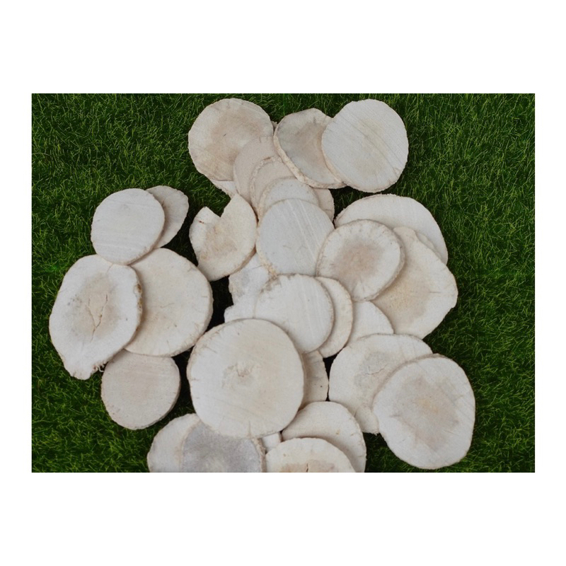 Trạch Tả Khô, Đẹp Loại 1