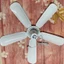 Quạt Trần 5 Cánh Lớn 1060mm