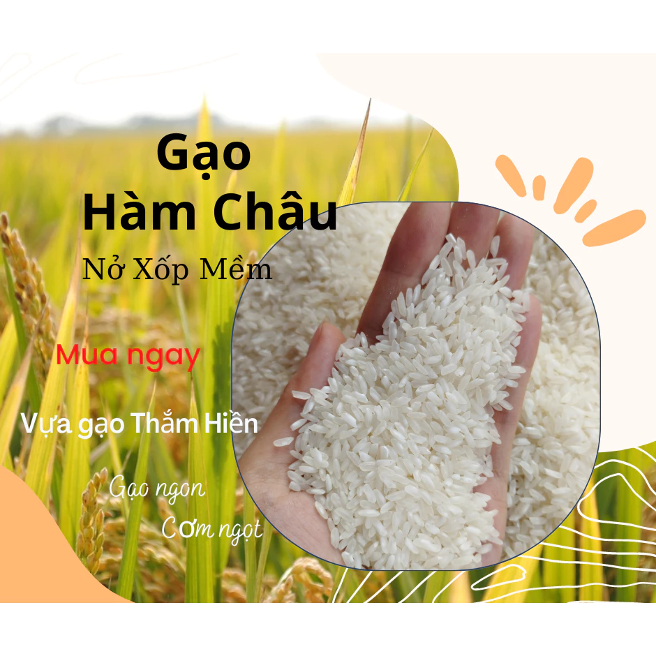 5KG Gạo Hàm Châu - Gạo Nở Xốp Mềm - Bena Organic
