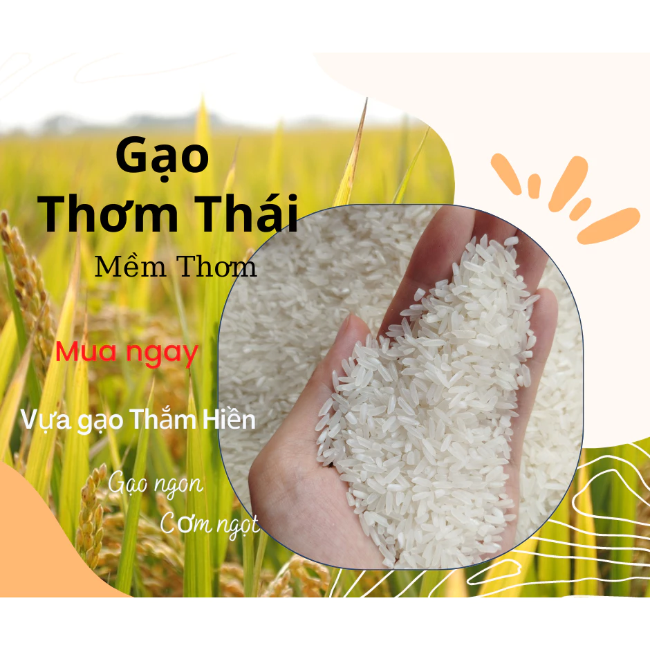 5KG Gạo Thơm Thái - Gạo Thơm Dẻo - Gạo Ngon Đậm Vị - Bena Organic