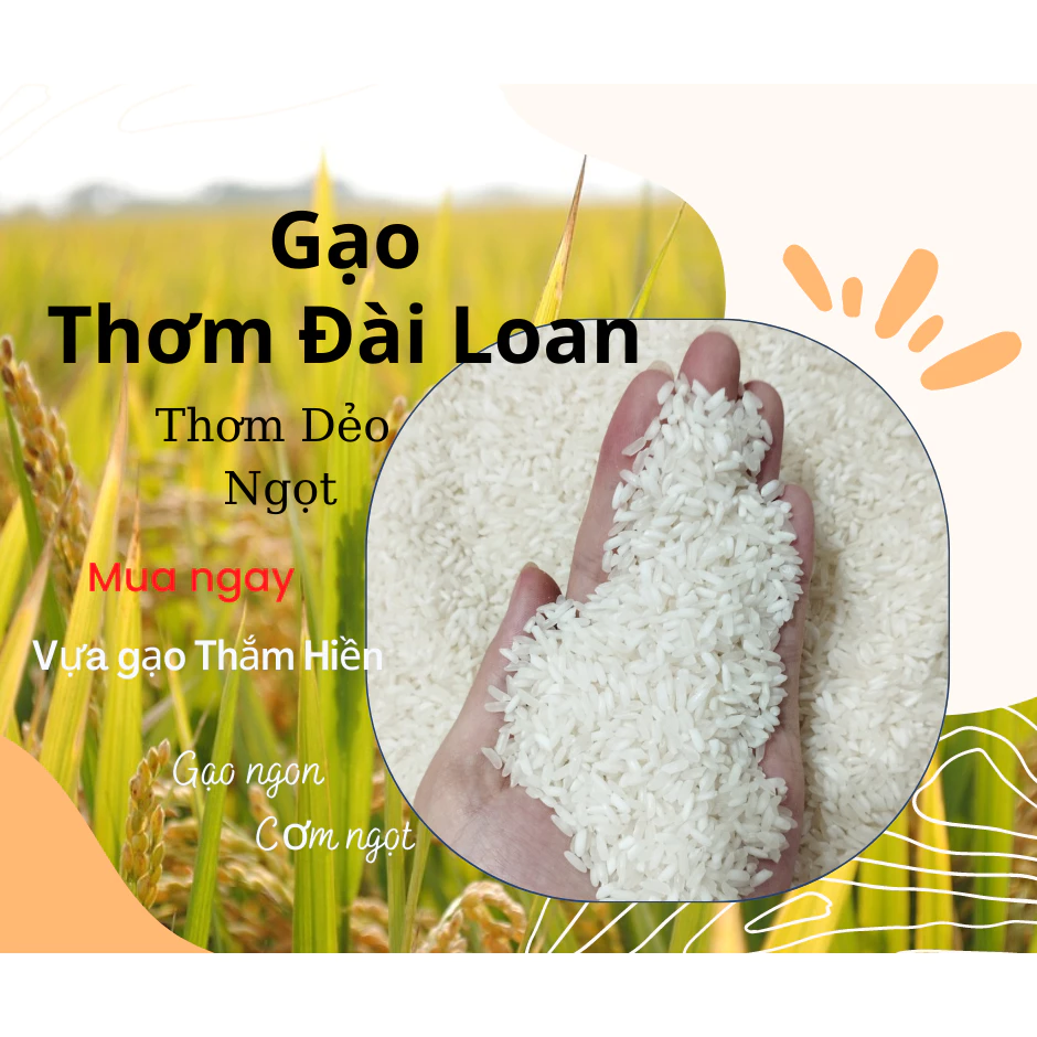 5KG Gạo Thơm Đài Loan - Gạo Thơm Dẻo Ngọt - Gạo Dẻo Vừa - Bena Organic