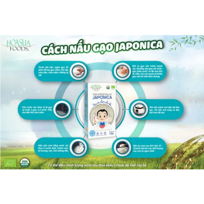 Gạo trắng hữu cơ Japonica HasaBio cho bé ăn dặm - hanzo2009