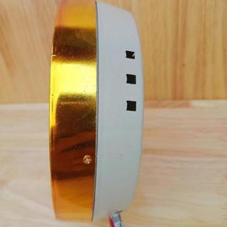 Hào Quang Led Sen 15cm Trang Trí Nhà Trang Decor Decor Phòng