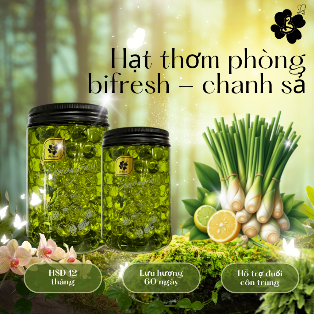 Hạthơm Phòng Bifresh Hương Chanh Sả Dịu Nhẹ - Hình Ảnh Thực Tế