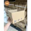 Combo 20 thùng G52 20x20x5 giấy carton gói hàng Everest