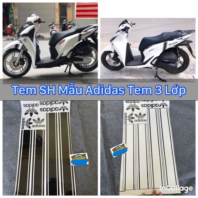 Tem Adidas Sh Dán Sh 2012- 2022 Tem 3 Lớp Cực Đẹp | Shopee Việt Nam