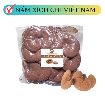 Nấm linh chi đỏ cao cấp Việt Nam CNV 500g (xích chi)