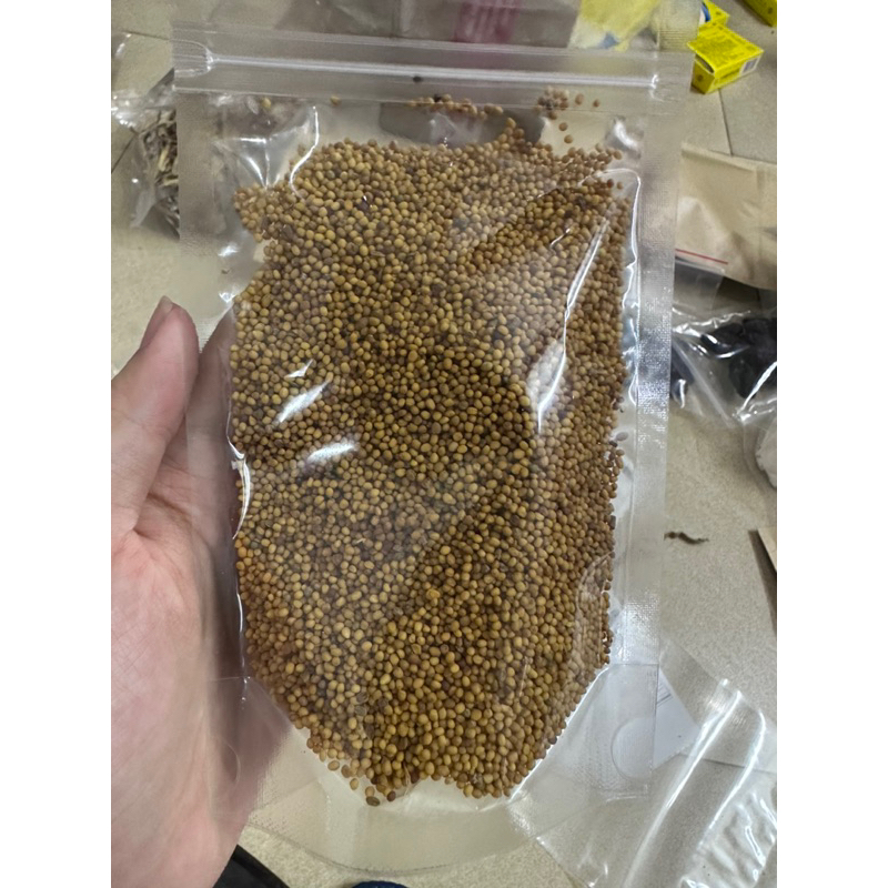 Thỏ Ty Tử ( Sạch, Đẹp ) Hàng Loại 1