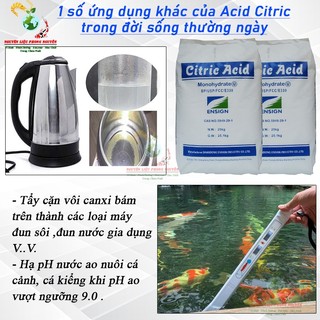 Axit citric bột chanh axit chanh chất tạo độ chua phụ gia trong thực phẩm, đồ uống, nguyên liệu trong mỹ phẩm