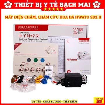 MÁY ĐIỆN XUNG, MÁY ĐIỆN CHÂM HOA ĐÀ SDZII