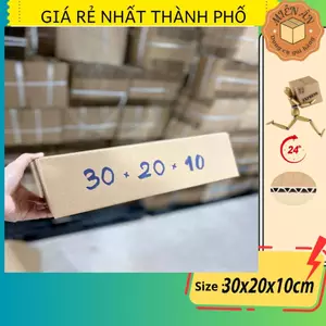 Combo 20 thùng G48 30x20x10 giấy carton gói hàng Everest