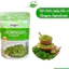 Bột chùm ngây hữu cơ Organic Moringa Powder