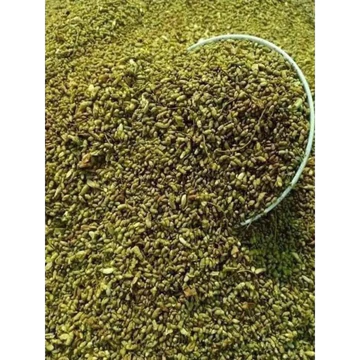 1 kg Hoa hòe khô quê nhà trồng vụ mới 2026, cam kết sàng xẩy sạch sẽ, hút chân không, 3 quà tặng đơn từ 69k