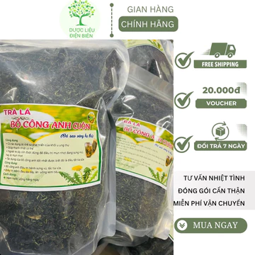 [500gr] TRÀ LÁ BỒ CÔNG ANH CUỘN (Đã sao vàng hạ thổ) thơm ngon tự nhiên.