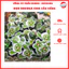 Kẹo sô cô la hình cua cầu vồng túi 1kg, thùng 10 túi Thái Foods (1 túi)