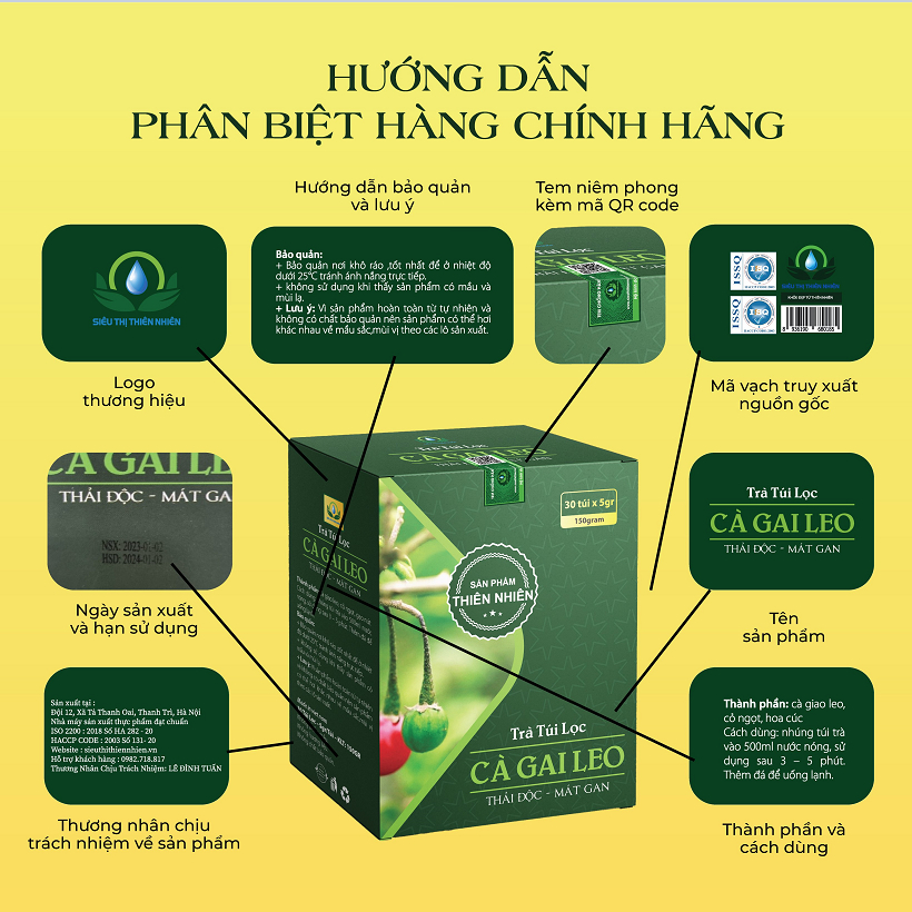 Thiết kế của Lọ Túi