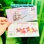 Căp 2 Tờ Tiền Năm Sinh Thuận Buồm Xuôi Gió + Mã Đáo Thành Công Maccao