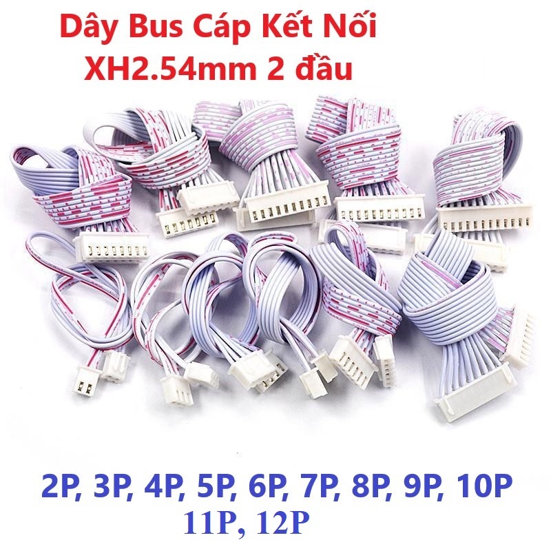 Dây Bus Cáp Kết Nối XH2.54mm 2 đầu dài 20cm 2P, 3P, 4P, 5P, 6P, 7P, 8P ...