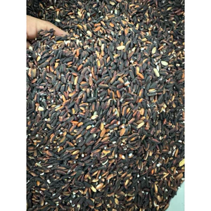 Gạo nếp cẩm- thơm mềm dẻo