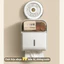 Hộp giấy vệ sinh treo tường 2 ngăn, hộp giấy vệ sinh đa năng chất liệu PP cao cấp sang trọng,chống nước