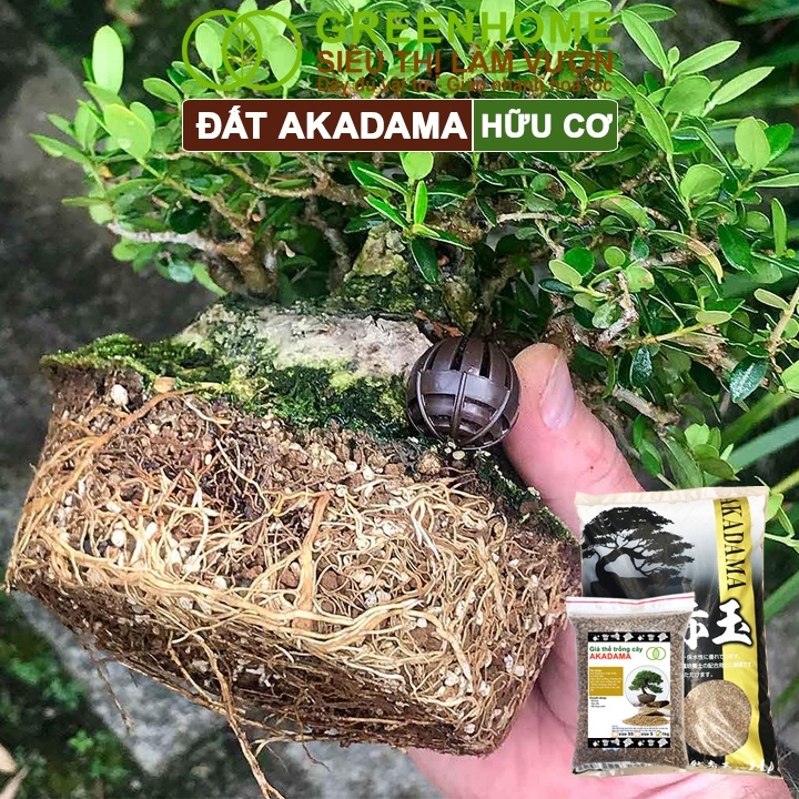 Ảnh Đất Akadama Greenhome, Bao 500GR, Giá Thể Bonsai, Kiểng Lá, Sen Đá, Phân Nền Thủy Sinh, Dưỡng Chất 3