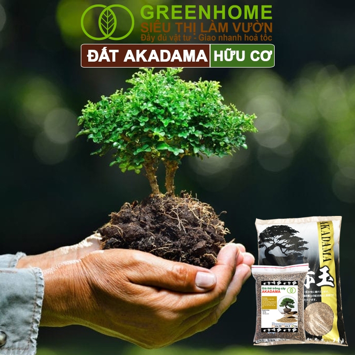 Ảnh Đất Akadama Greenhome, Bao 500GR, Giá Thể Bonsai, Kiểng Lá, Sen Đá, Phân Nền Thủy Sinh, Dưỡng Chất 2