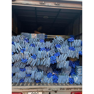 chổi lau Nhà Công Nghiệp cán rút 45cm 60cm, Chổi Lau Nhà Bẹ San Hô