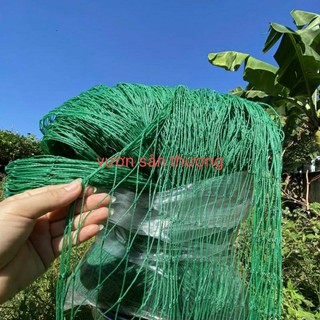 Lưới Trồng Cây (1 Mét), Làm Giàn, Dây Leo ,Khổ 2m, Cạnh 4x4 Cm