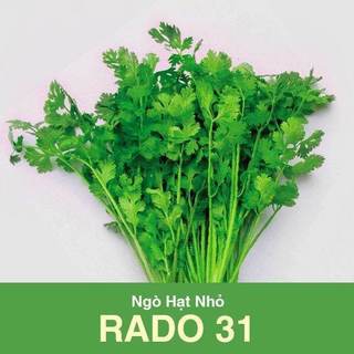 Hạt Giống Ngò hạt nhỏ Rado 31 (20g)