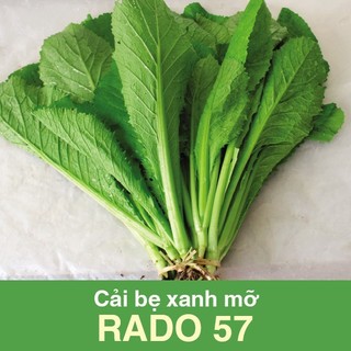 Hạt Giống Cải bẹ xanh mỡ Rado 57