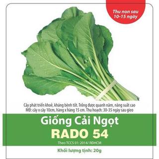Hạt Giống Cải ngọt Rado 54