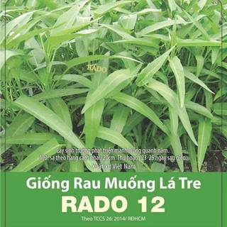 Hạt Giống Rau muống lá tre