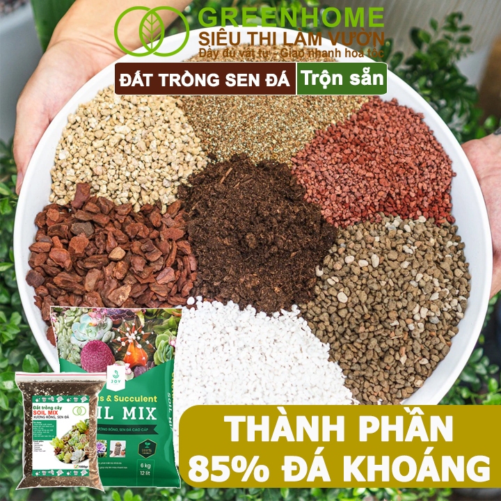 Ảnh Đất Trồng Sen Đá Greenhome, Soil Mix, Bao 500gr, Trộn Sẵn, 85% Đá Khoáng, Lên Màu, Thoát Nước Tốt 3
