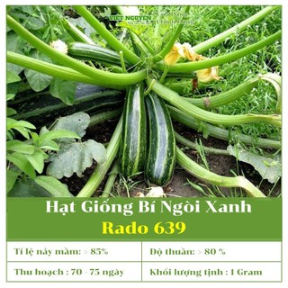 Hạt Giống Bí ngòi xanh